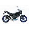 Special Carbon Roadsitalia Suzuki SV 650 2016-2020