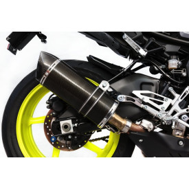 Special Carbon Roadsitalia Yamaha MT-10