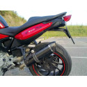 Special Carbon Roadsitalia Bmw F 800 ST