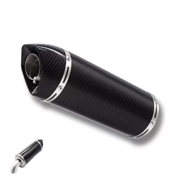 Special Carbon Roadsitalia Yamaha Fazer 1000