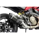 Special Carbon Roadsitalia Ducati Monster 1200 2014-2016
