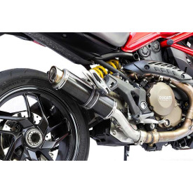 Thunder Carbon Roadsitalia Ducati Monster 821 2014-2016