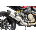 Projsix Titanium Roadsitalia Ducati Monster 821 2014-2016