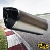 Special Titanium Roadsitalia Yamaha Fazer 8