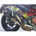 Thunder Carbon Roadsitalia Ducati Monster S4RS Testastretta