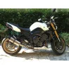 Special Titanium Roadsitalia Yamaha Fazer 8