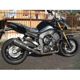 Special Carbon Roadsitalia Yamaha Fazer 8