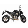 Thunder Carbon Roadsitalia Kawasaki Z 800 IE 2012-2016