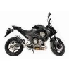 Thunder Carbon Roadsitalia Kawasaki Z 800 IE 2012-2016