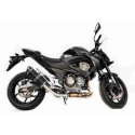 Special Carbon Roadsitalia Kawasaki Z 800 IE 2012-2016