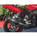 Special Carbon Roadsitalia Yamaha R6 1998-2002