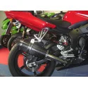Special Carbon Roadsitalia Yamaha R6 1998-2002