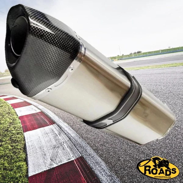 Projsix Titanium Roadsitalia Suzuki GSF Bandit 1250 07-16