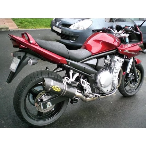 Special Carbon Roadsitalia Suzuki GSF Bandit 650 07-16