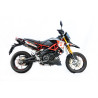 Special Carbon Roadsitalia Aprilia Dorsoduro 900