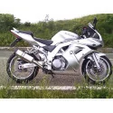 Special Titanium Roadsitalia Suzuki TL 1000 S-R