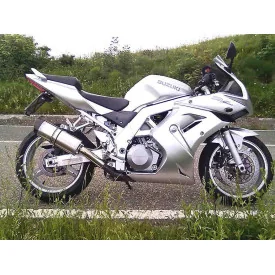 Special Titanium Roadsitalia Suzuki TL 1000 S-R