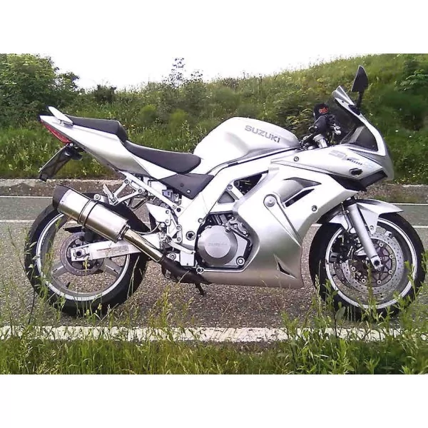 Special Titanium Roadsitalia Suzuki TL 1000 S-R