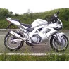 Special Titanium Roadsitalia Suzuki TL 1000 S-R