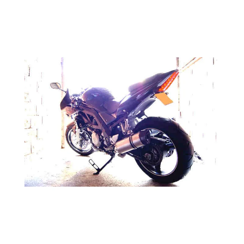 Special Titanium Roadsitalia Suzuki TL 1000 S-R