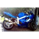 Special Titanium Roadsitalia Triumph Speed Four