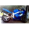 Special Titanium Roadsitalia Triumph Speed Four