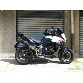 Triumph tiger 1050 2015 discount