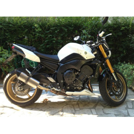 Special Titanium Roadsitalia Yamaha FZ8