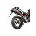 Special Titanium Roadsitalia Aprilia Shiver 900