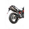 Special Titanium Roadsitalia Aprilia Shiver 900