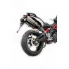 Special Titanium Roadsitalia Aprilia Shiver 900
