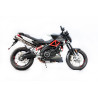 Special Titanium Roadsitalia Aprilia Shiver 900