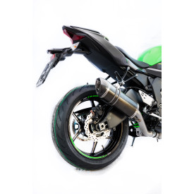 Special Carbon Roadsitalia Kawasaki Zx-6r Ninja 2019