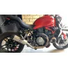 Special Titanium Roadsitalia Ducati Monster 821 2014-2016