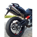 Special Titanium Roadsitalia Aprilia Shiver 900