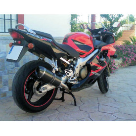 Special Carbon Roadsitalia Honda CBR 600 F 1991-1998