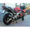 Special Carbon Roadsitalia Honda CBR 600 F 1999-2000