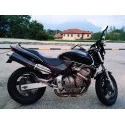 Ovale Carbon Roadsitalia Honda Hornet 600 1998-2002