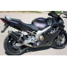 Ovale Carbon Roadsitalia Honda CBR 600 F 2001-2007