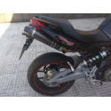 Special Carbon Roadsitalia Aprilia Shiver 750