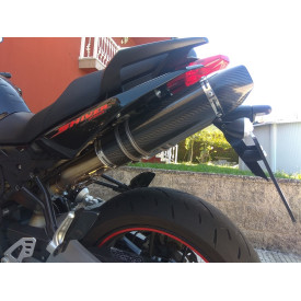 Exhaust for Aprilia Shiver 750 Special Carbon