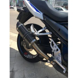 Special Carbon Roadsitalia Suzuki GSF Bandit 650 07-16