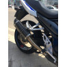 Special Carbon Roadsitalia Suzuki GSF Bandit 1250 07-16