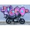Power Carbon Roadsitalia Suzuki GS 500