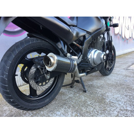 Exhaust for Suzuki GS 500 Power Carbon