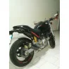Thunder Carbon Basse Roadsitalia Ducati Monster 600 620 695 750 800 900 1000 S4