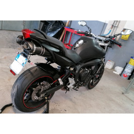 Special Carbon Roadsitalia Yamaha FZ6 S1-S2