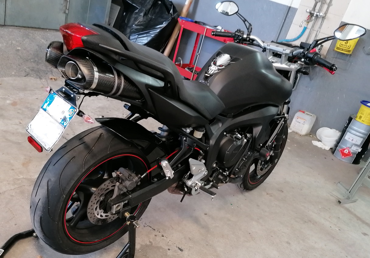 Exhaust for Yamaha FZ6 S1-S2 Special Carbon