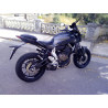 Special Carbon Roadsitalia Yamaha MT-07 2014-2016