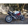 Thunder Carbon Roadsitalia Ducati Monster 696 796 1100